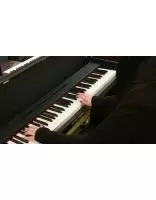 Цифровое фортепиано Pearl River PRK80BK