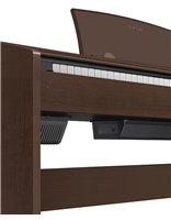 Купить Цифровое пианино CASIO PX-770BN 