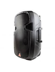 Купить Автономная портативная акустика 4all Audio LSA-15 WIRELESS Battery Speaker System 100W, 15", USB/SD/Bluetooth  2