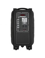 Купить Автономная акустика BIG BIG300TORNADO USB/MP3/FM/BT/TWS + 2pcs VHF mic 