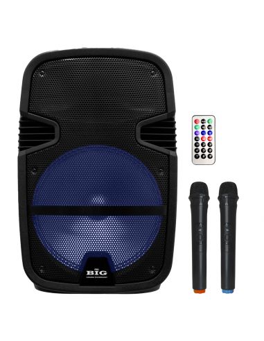 Купить Автономная акустика BIG BIG350STORM USB/MP3/FM/BT/TWS + 2pcs VHF mic 