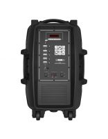 Купити Автономна акустика BIG BIG350STORM USB/MP3/FM/BT/TWS + 2pcs VHF mic