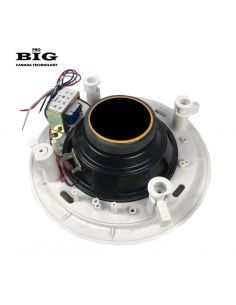 Купить Потолочный динамик BIG SAUNA SOUND  2