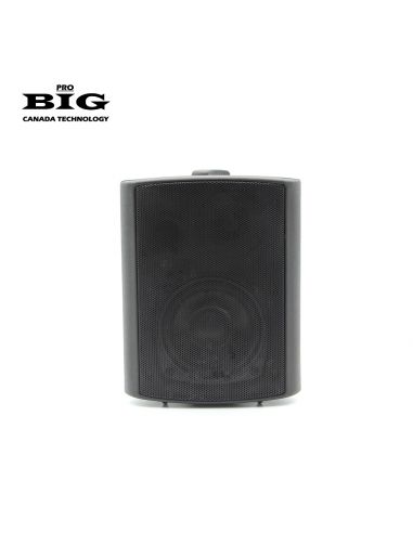 Купити Настінна акустика BIG MSB404-8Ohm/100V BLACK 60W