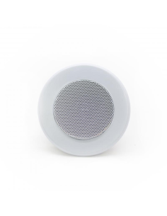 Купить Потолочный динамик SKY SOUND TS-1010TW  2