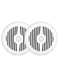 Купить Всепогодный потолочный динамик SKY SOUND MS-06W (Pair) 
