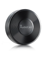 Купить Wi-Fi Multi-Room аудио адаптер SKY SOUND AudioCast PRO 