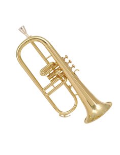 Купить Флюгельгорн Amati AFH 201 