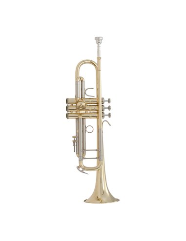 Купити Труба Bach Stradivarius 18037
