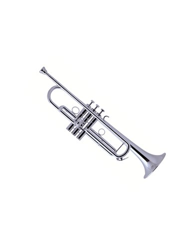 Купити Труба Schilke S22