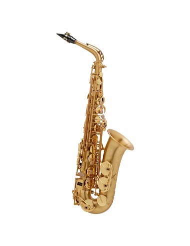Купить Альт-саксофон Henri Selmer Paris SA 80 II BGG GO 