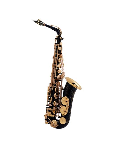 Купить Альт-саксофон Henri Selmer Paris SA 80 II NG GO 