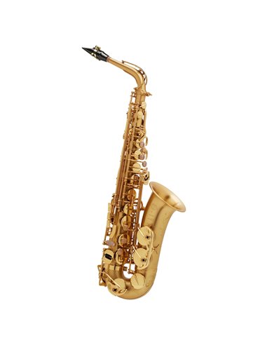 Купить Альт-саксофон Henri Selmer Paris SERIES III BGG GO 