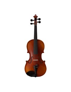 Купить Скрипка Strunal Stradivarius 193wA 