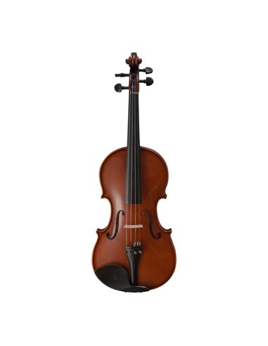 Купить Скрипка Strunal Guarnerius 337w 