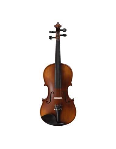 Купити Скрипка Strunal Stradivarius 920A