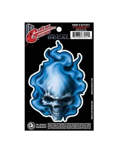 Купити PLANET WAVES GT77011 Наклейка для гітар