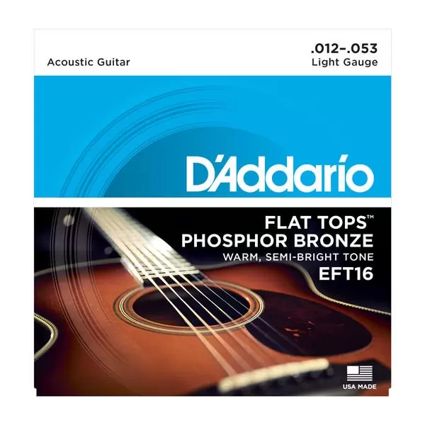 Купити D`ADDARIO EFT16 Струни для гітар