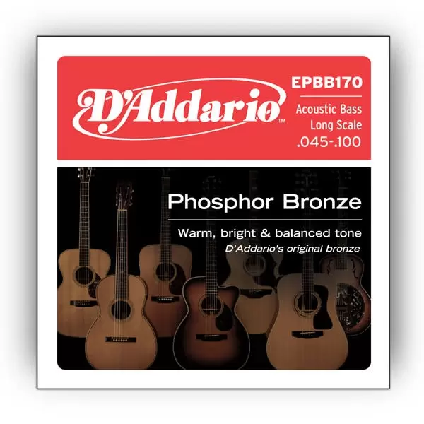 Купити D`ADDARIO EPBB170 Струни для гітар