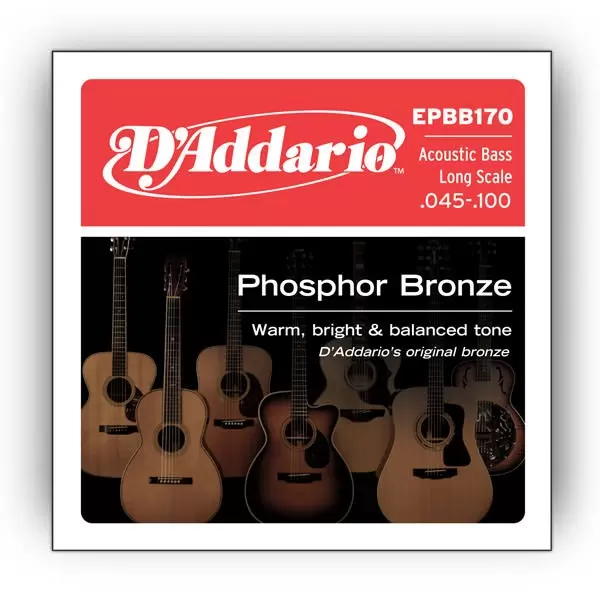 Купить D`ADDARIO EPBB170 Струны для гитар 