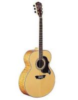 Купить Акустическая гитара Washburn J28 SDL 