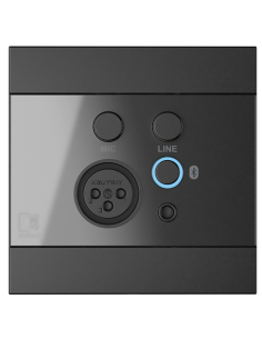 Купить Audac WP225/B Микшер-панель с Bluetooth для аудио-устройств 