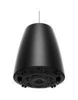 Купить BOSE DesignMax DM3P Black Потолочная акустическая система 