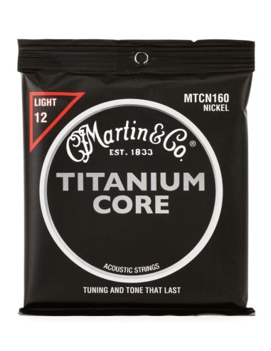 Купить Струны для гитары MARTIN MTCN160 Titanium Core Light (12-55) 