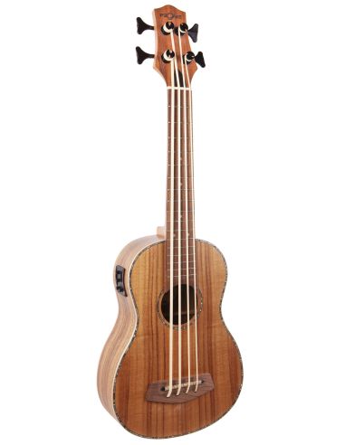 Купить Укулеле FZONE FZUB-004 Bass Ukulele 