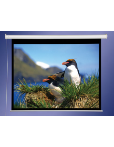 Купити Проекційний екран AVScreen 3V100MEK 001