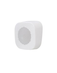 Купить Настенная колонка SKY SOUND NS-7TW 001 2