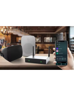 Купить DSPPA DW0235 Сетевой аудиоплеер с усилителем 2*35Вт на 4Ом потокового аудио с Wi-Fi и Bluetooth 5.0 для стриминга потоков