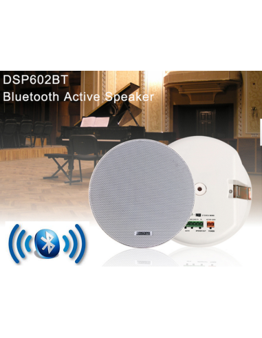 Купить DSPPA DSP602BT АКТИВНЫЕ ПОТОЛОЧНЫЕ ДИНАМИКИ 10Вт BLUETOOTH (2 ШТ.) 001