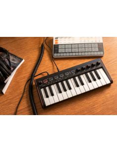 Купить IK MULTIMEDIA iRIG KEYS 2 Мини MIDI-клавиатура черная 001 2