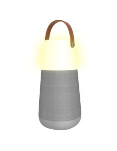 Купить ION Bright Max Многоцветный беспроводной динамик 001