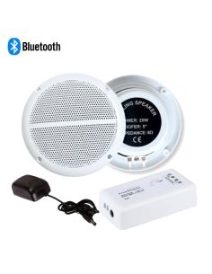 Купить Комплект стереоусилитель L-Frank Audio HYC1502B и два Bluetooth динамика 001
