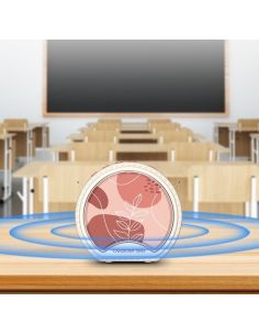 Купити Бездротовий портативний підсилювач Takstar E20G бежевий 001 2