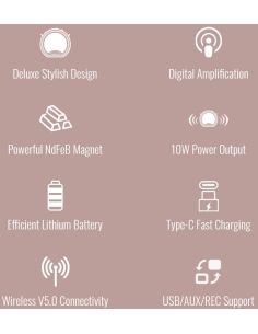 Купити Бездротовий портативний підсилювач Takstar E20P фіолетовий 001 2