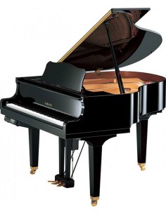 Дисклавир YAMAHA DGB1 KE3 (PE)