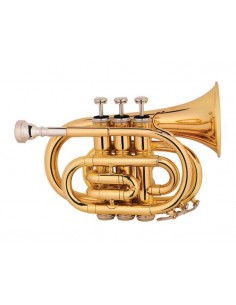 Труба MAXTONE TT MINI 53L