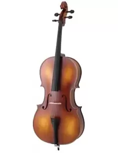 Виолончель MAXTONE CVC101 1/2