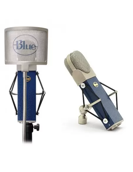 Blue Microphones BLUEBERRY