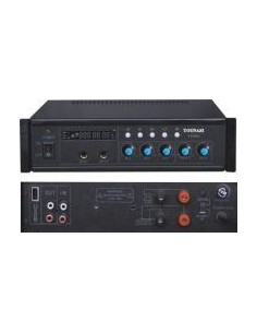 Купить Усилитель Younasi Y-C40U, 40Вт, USB 