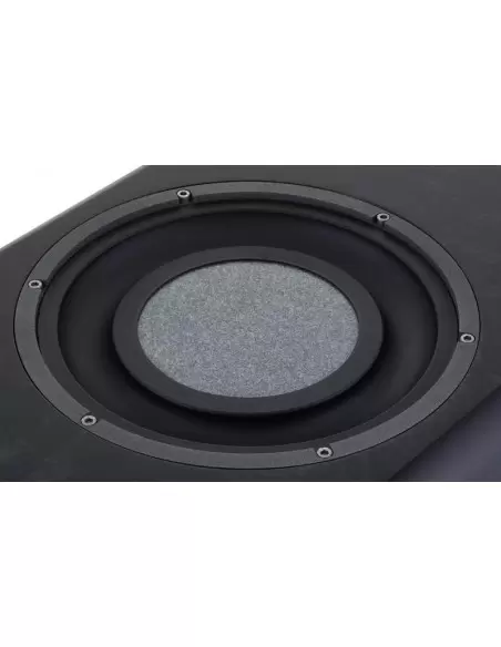 Focal SM9 Right