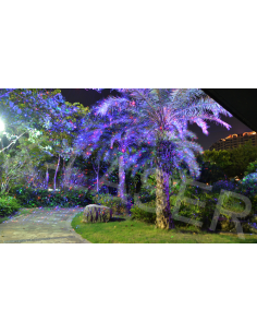 Купити Лазер вуличний водонепроникний X-Laser X-33P-B RGB moving laser з ДУ 2