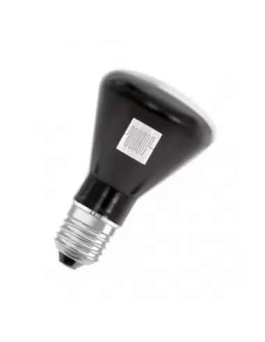 Купить Лампа для научных исследований Osram WI 41/G 6A 31V E27 