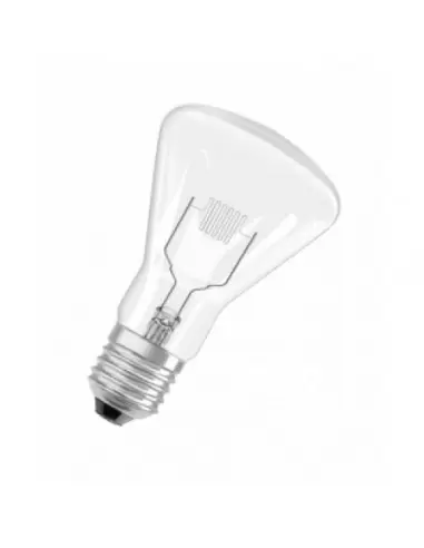 Купить Лампа для научных исследований Osram WI 40/G 6A 31V E27 