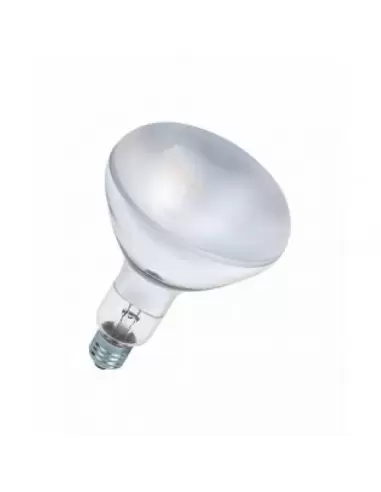 Купити Інфрачервона лампа Osram SICCA R125 CL 375W 230V