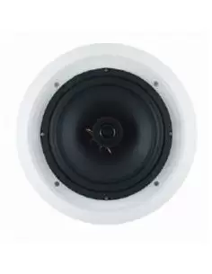 Купить Потолочный динамик 4all audio 4AA-SR108-5T-2 