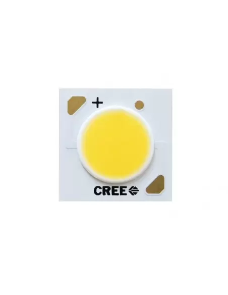 Cree FTN31242